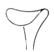 AMAX- 11-3012-12